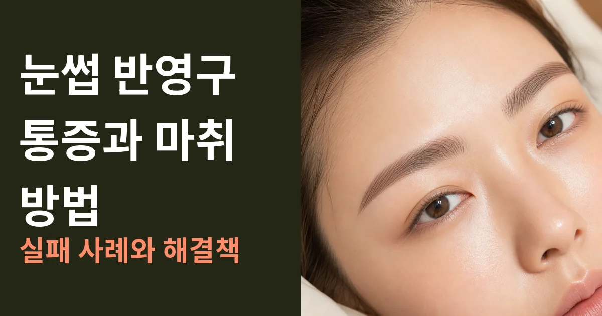 눈썹 반영구 통증과 마취 방법: 실패 사례와 해결책