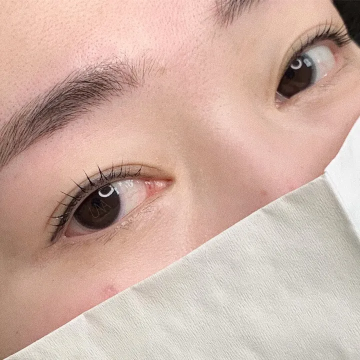 눈썹 다섯 번째 작품 예시